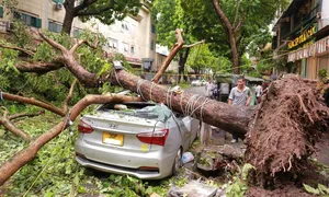 Người Hà Nội sốc vì phố phường tan hoang sau bão Yagi